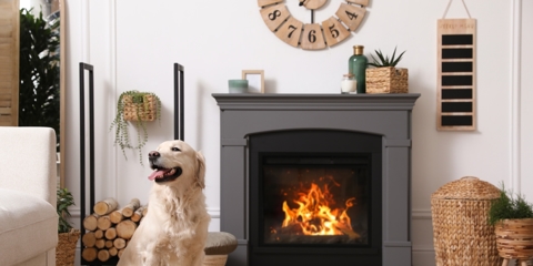 Adorable Golden Retriever dog on floor near electric fireplace indoors