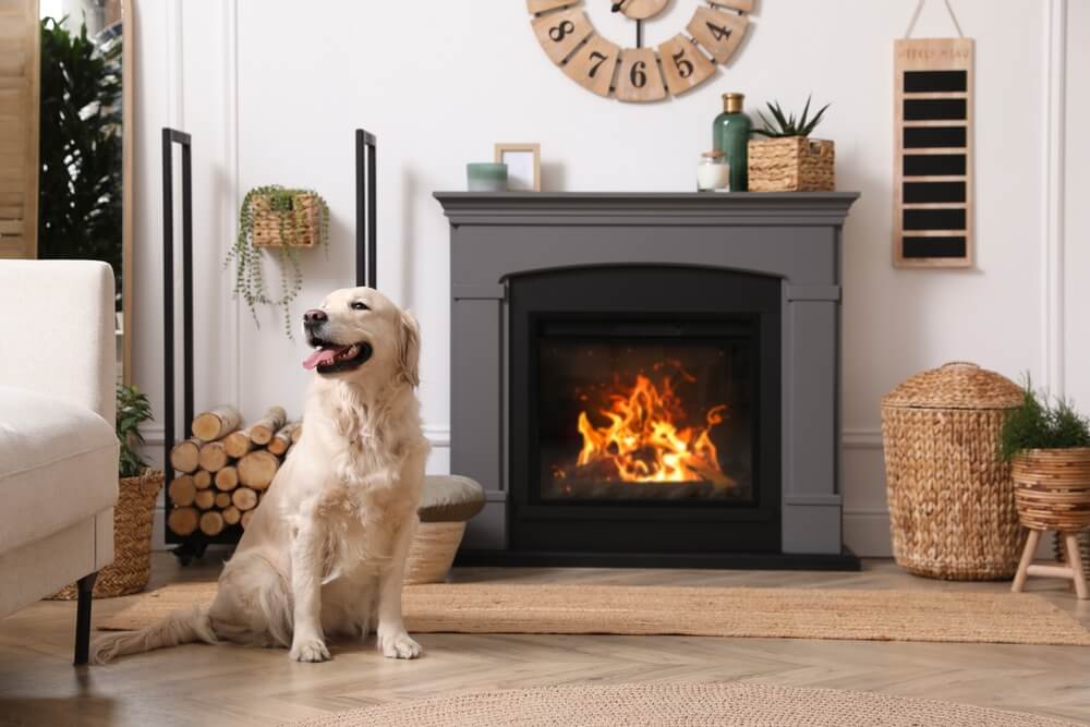 Adorable Golden Retriever dog on floor near electric fireplace indoors
